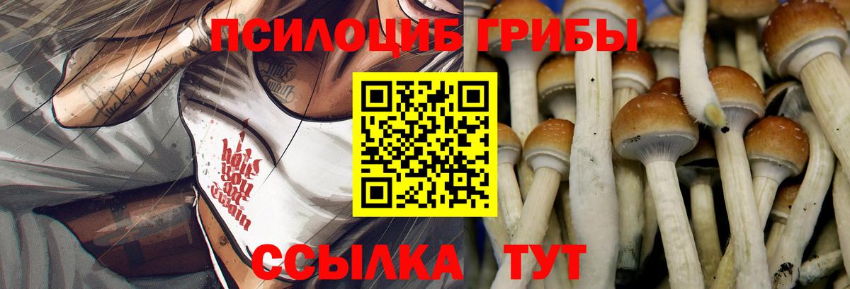Кропоткин  Псилоцибиновые грибы мицелий  Галлюциногенные грибы Psilocybine cubensis  Вход с VPN 